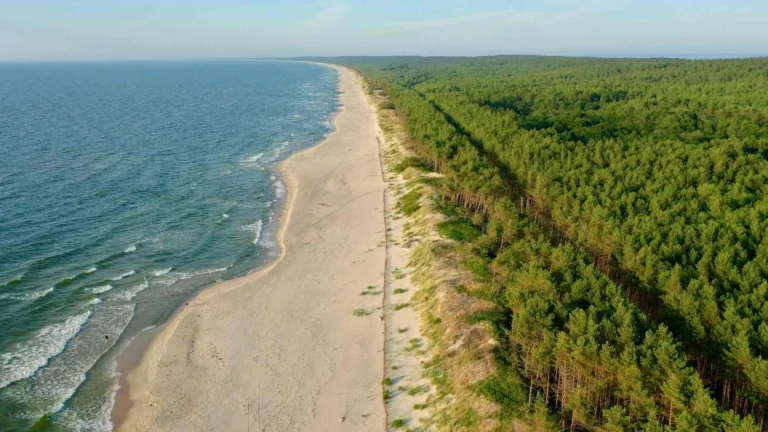 krynica morska tlo atrakcje