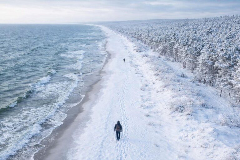 Plaża zimą z dwoma spacerowiczami. Po prawej stronie widać las